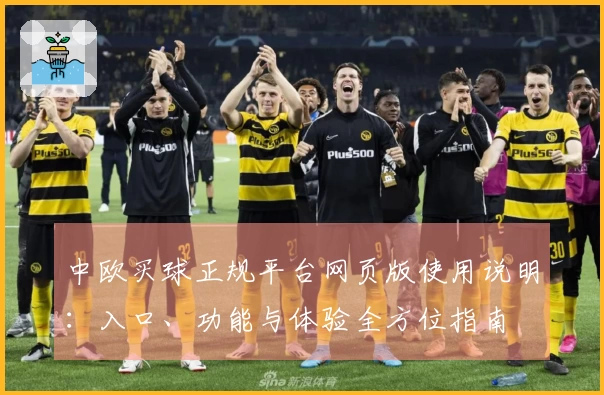 中欧买球正规平台网页版使用说明：入口、功能与体验全方位指南