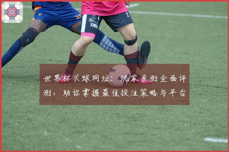 世界杯买球网址：玩家亲测全面评测，助你掌握最佳投注策略与平台体验