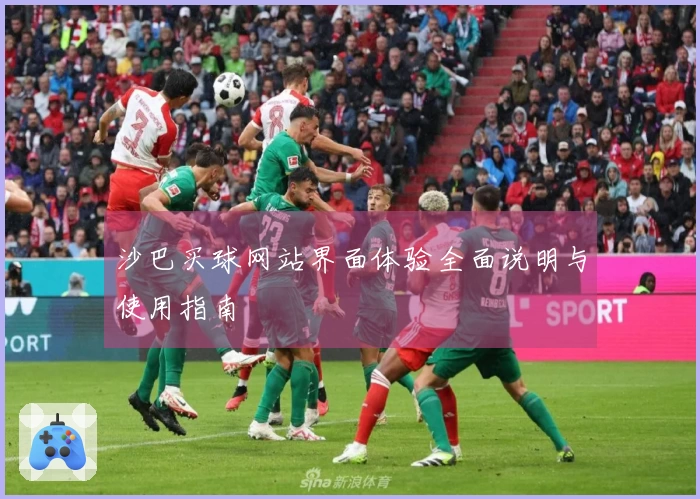 沙巴买球网站界面体验全面说明与使用指南