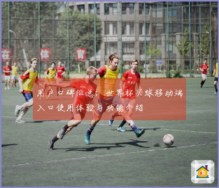 用户口碑汇总：世界杯买球移动端入口使用体验与功能介绍