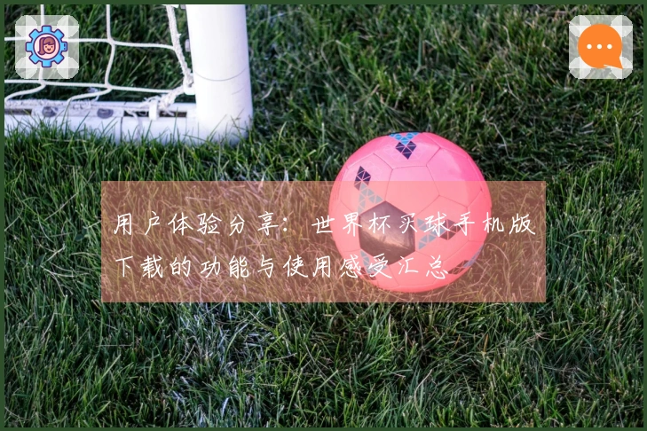 用户体验分享：世界杯买球手机版下载的功能与使用感受汇总