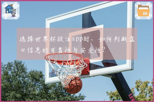 选择世界杯投注app时，如何判断盘口信息的可靠性与安全性？
