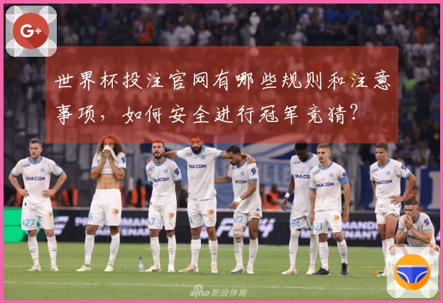 世界杯投注官网有哪些规则和注意事项，如何安全进行冠军竞猜？
