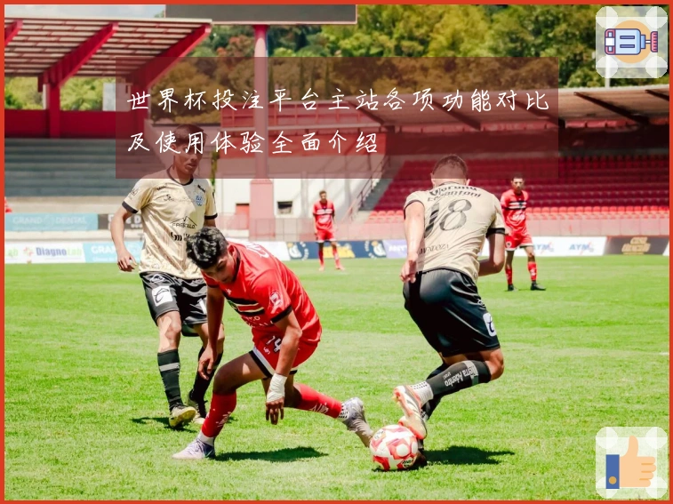 世界杯投注平台主站各项功能对比及使用体验全面介绍