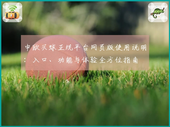 中欧买球正规平台网页版使用说明：入口、功能与体验全方位指南