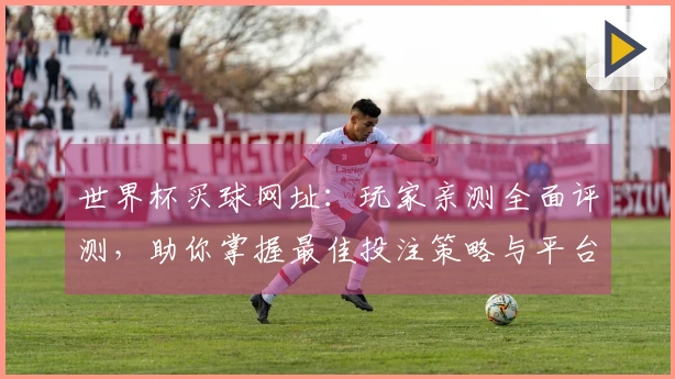 世界杯买球网址：玩家亲测全面评测，助你掌握最佳投注策略与平台体验