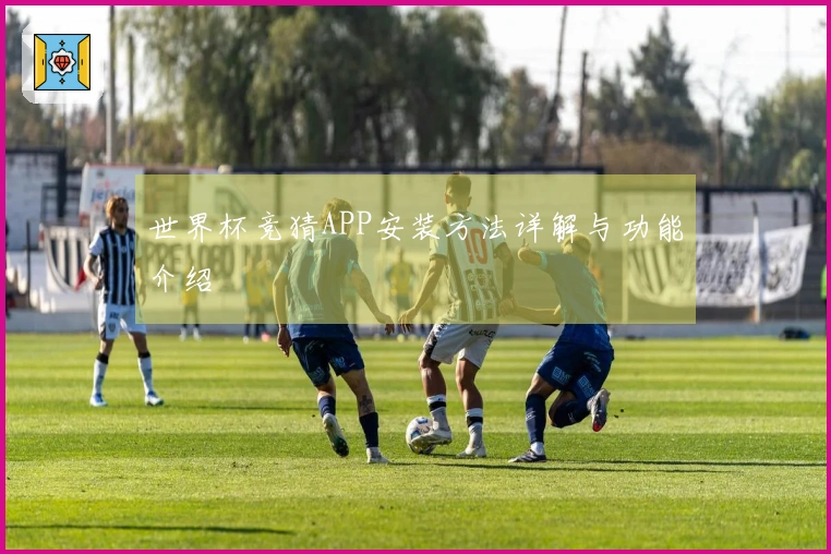 世界杯竞猜APP安装方法详解与功能介绍
