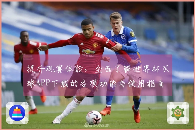 提升观赛体验，全面了解世界杯买球APP下载的各项功能与使用指南