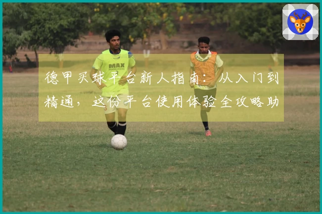 德甲买球平台新人指南：从入门到精通，这份平台使用体验全攻略助您畅玩