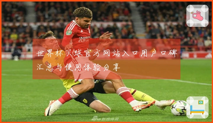 世界杯买球官方网站入口用户口碑汇总与使用体验分享