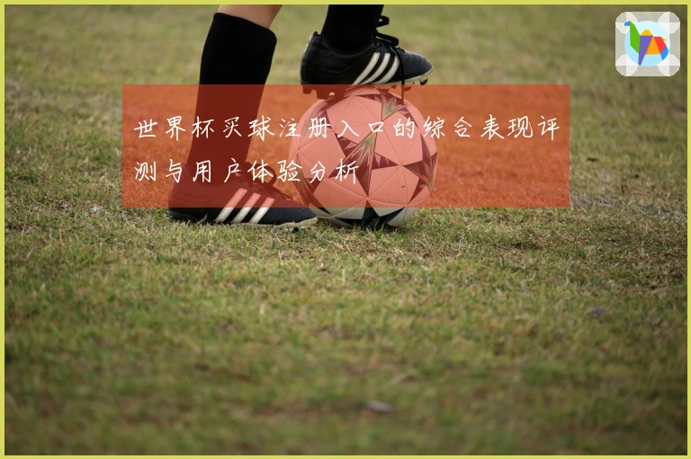 世界杯买球注册入口的综合表现评测与用户体验分析