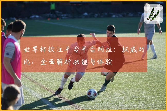 世界杯投注平台平台网址：权威对比，全面解析功能与体验