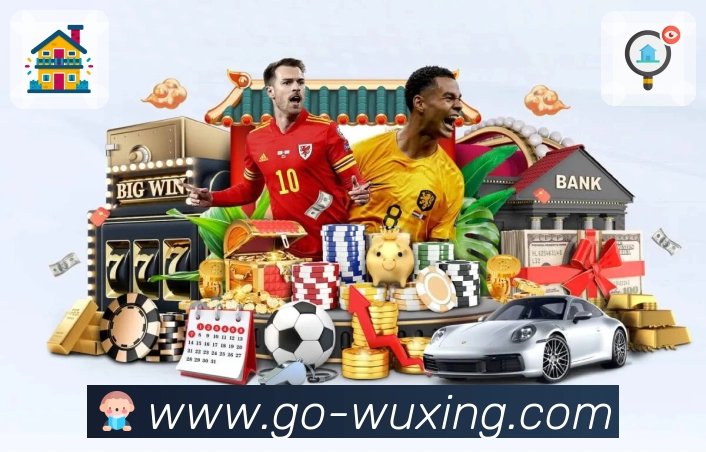 五星体育APP 封面图